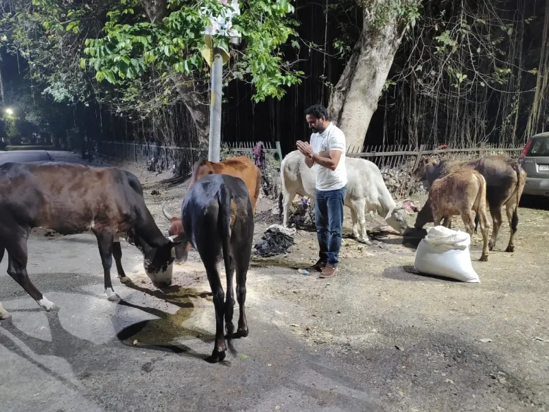 Daily Gaushala Care