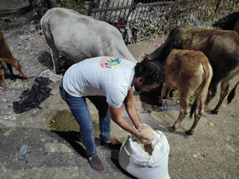 Vanar Seva – feeding monkeys and street animals in holy cities