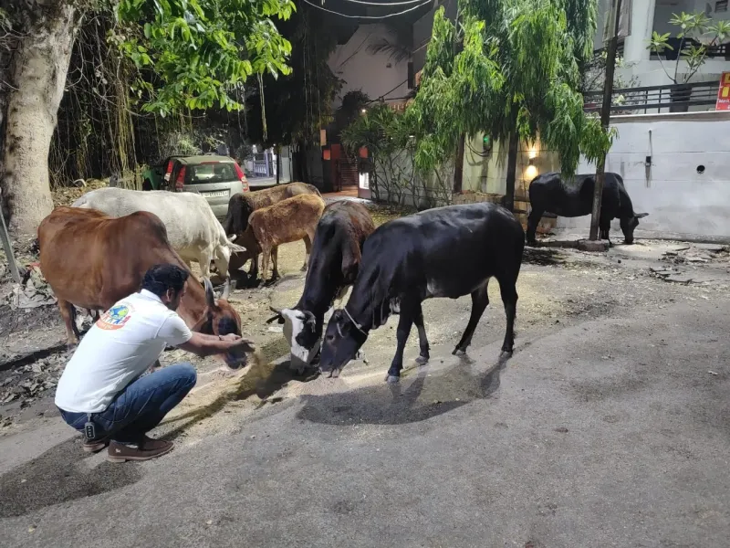 Sadhu Seva – serving meals and basic necessities to spiritual seekers and saints