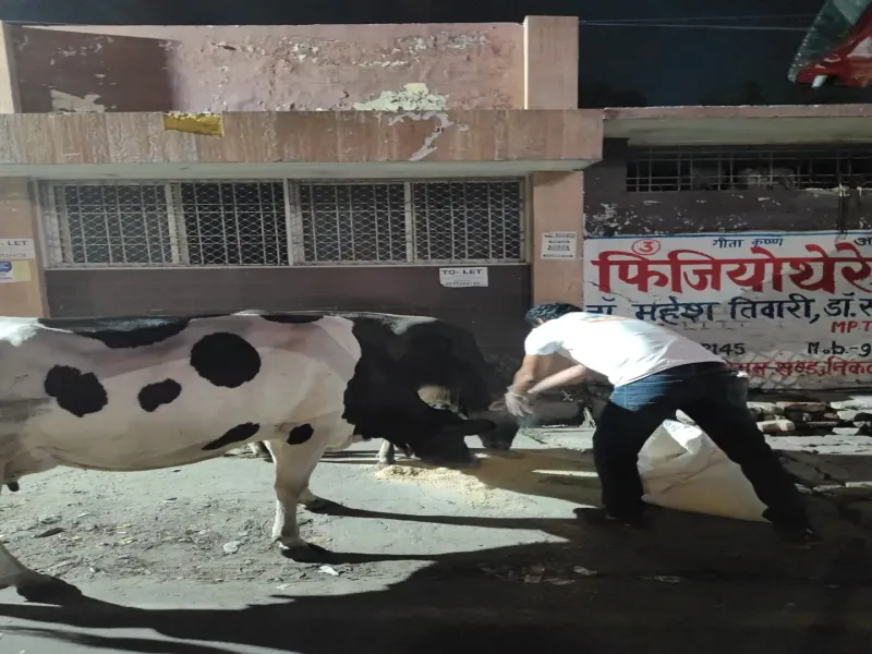 Dr. Rahul Mehra – Chief Veterinarian at Vasudhevkutumbkam Gaushala