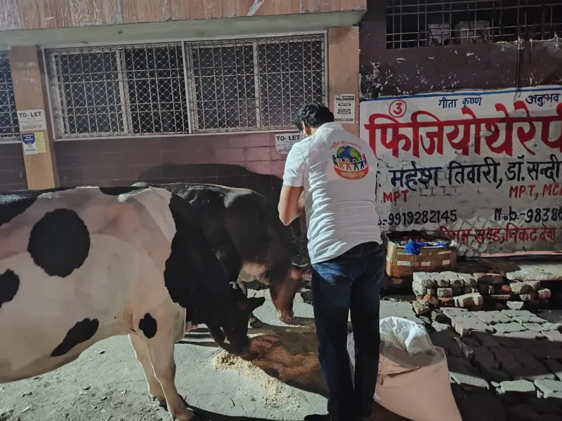 Bhandara Seva food distribution